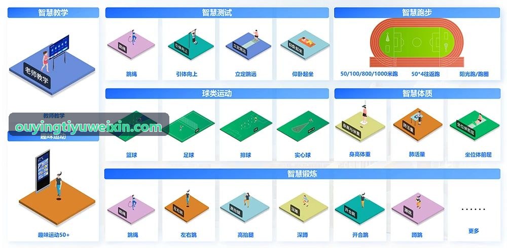 OUYINGTIYU机能评估系统