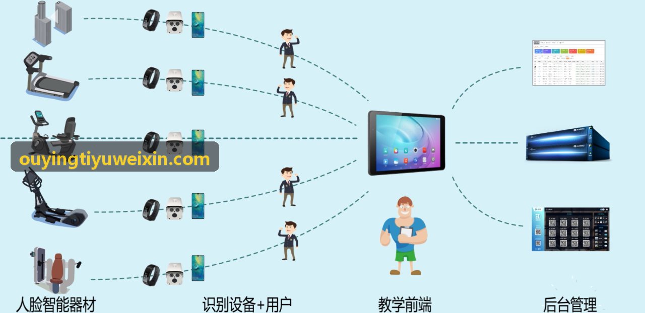 OUYINGTIYU速度导向力量训练VBT解析